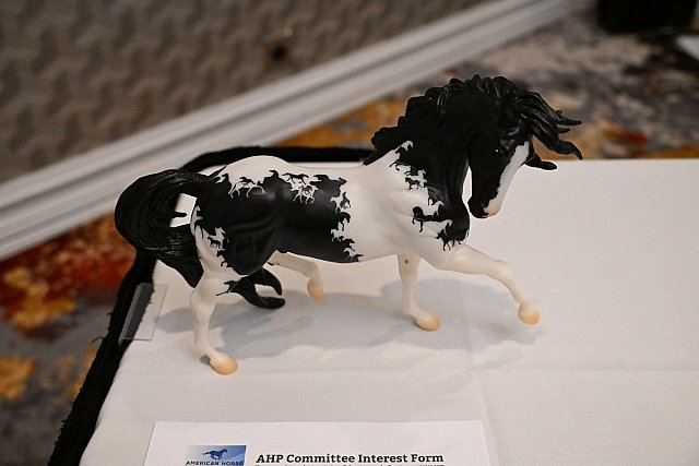 AHP 2025-0516-17-2025-9300-DDeRosaPhoto