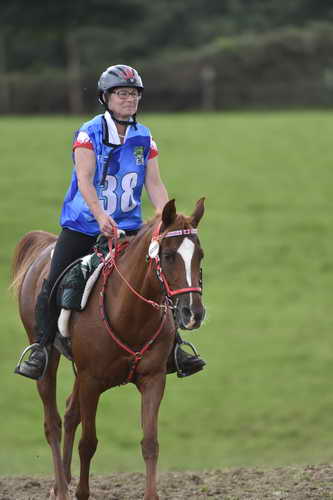 WEG-EnduranceRace-8-28-14-0005082-DDeRosaPhoto