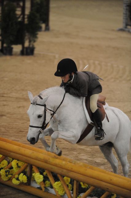 2129-CoolBeans-LucasPorter-LegacyCup-PonyFinals-5-17-08-DeRosaPhoto.jpg