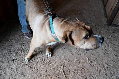 05.15.25-TOUR-WELCOME-9214-DDeRosaPhoto