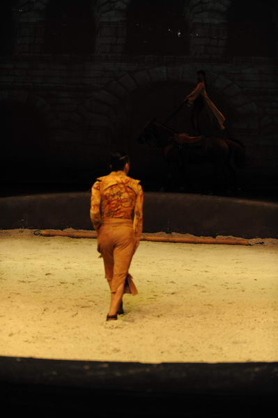 Cavalia-6-8-10-146-DDeRosaPhoto.jpg