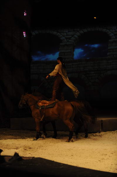 Cavalia-6-8-10-154-DDeRosaPhoto.jpg