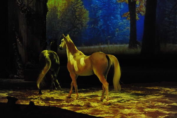 Cavalia-6-8-10-220-DDeRosaPhoto.jpg