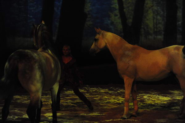 Cavalia-6-8-10-228-DDeRosaPhoto.jpg