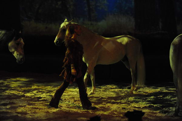 Cavalia-6-8-10-231-DDeRosaPhoto.jpg