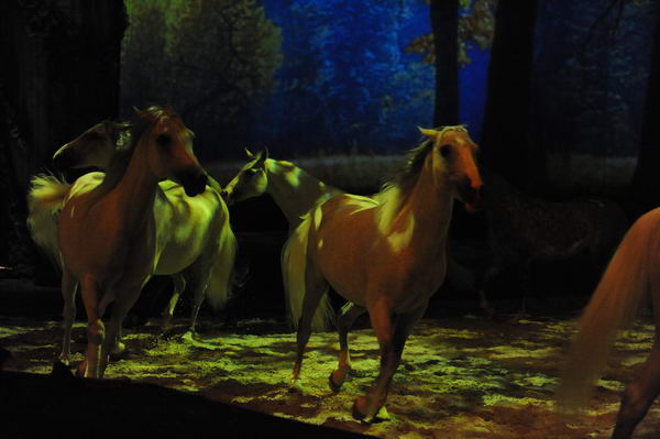 Cavalia-6-8-10-235-DDeRosaPhoto.jpg