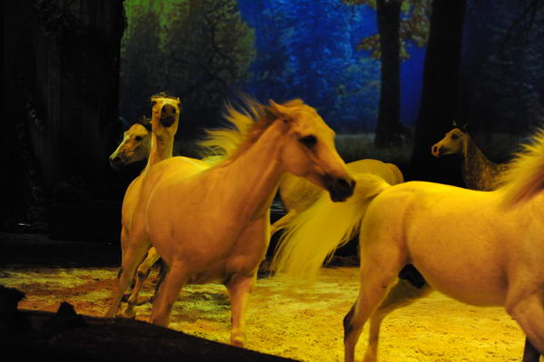 Cavalia-6-8-10-236-DDeRosaPhoto.jpg