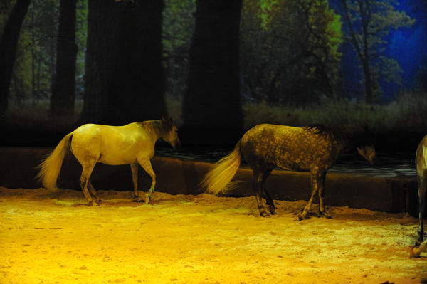 Cavalia-6-8-10-238-DDeRosaPhoto.jpg