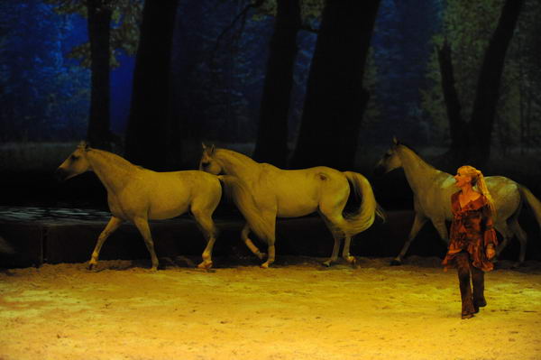 Cavalia-6-8-10-240-DDeRosaPhoto.jpg