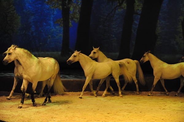 Cavalia-6-8-10-242-DDeRosaPhoto.jpg