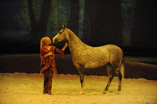 Cavalia-6-8-10-245-DDeRosaPhoto.jpg