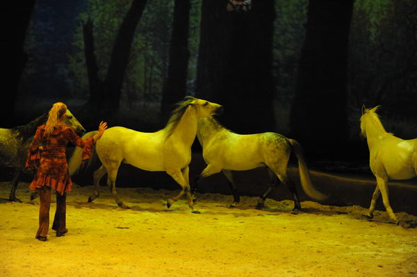 Cavalia-6-8-10-268-DDeRosaPhoto.jpg