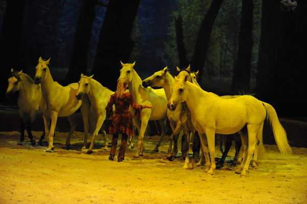 Cavalia-6-8-10-278-DDeRosaPhoto.jpg