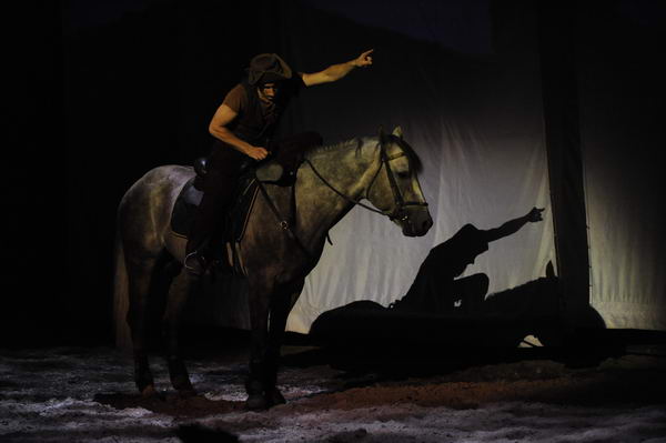 Cavalia-6-8-10-291-DDeRosaPhoto.jpg