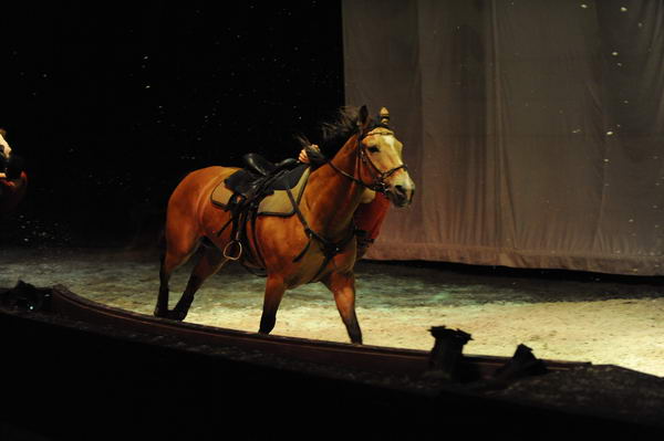 Cavalia-6-8-10-301-DDeRosaPhoto.jpg