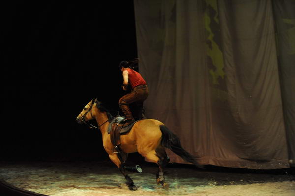 Cavalia-6-8-10-314-DDeRosaPhoto.jpg