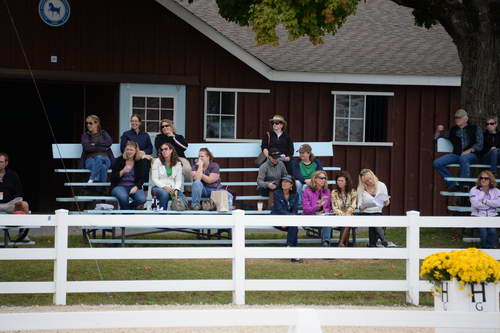 Dressage-at-Devon-9-27-13-4763-DDeRosaPhoto