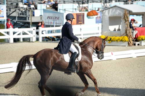 Dressage-at-Devon-9-27-13-4790-DDeRosaPhoto