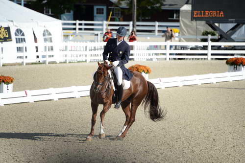 Dressage-at-Devon-9-27-13-4793-DDeRosaPhoto