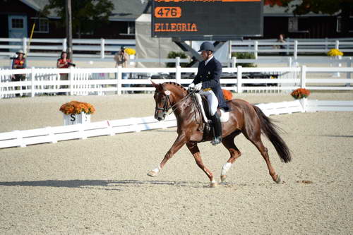 Dressage-at-Devon-9-27-13-4799-DDeRosaPhoto