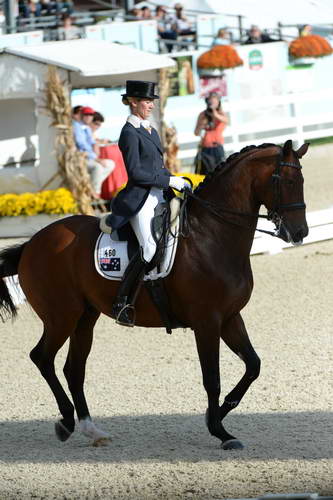 Dressage-at-Devon-9-27-13-4808-DDeRosaPhoto