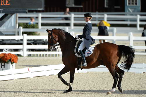 Dressage-at-Devon-9-27-13-4809-DDeRosaPhoto