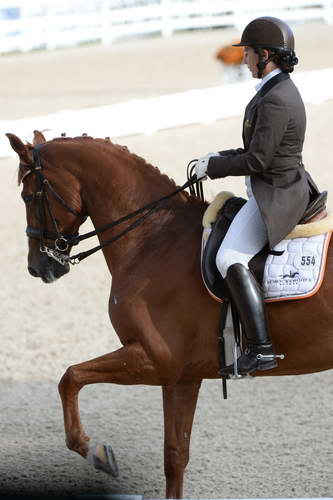 Dressage-at-Devon-9-27-13-4818-DDeRosaPhoto