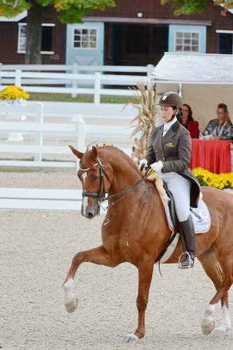 Dressage-at-Devon-9-27-13-4839-DDeRosaPhoto