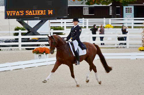 Dressage-at-Devon-9-27-13-4844-DDeRosaPhoto