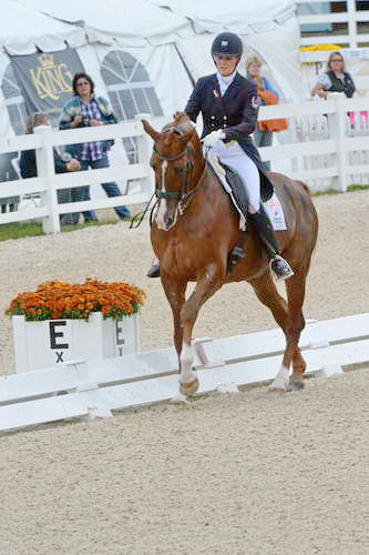 Dressage-at-Devon-9-27-13-4865-DDeRosaPhoto