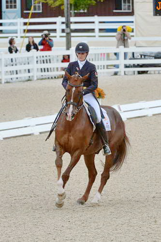 Dressage-at-Devon-9-27-13-4876-DDeRosaPhoto