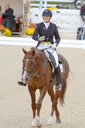 Dressage-at-Devon-9-27-13-4888-DDeRosaPhoto