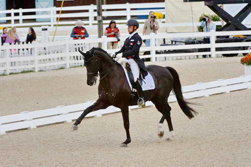 Dressage-at-Devon-9-27-13-4896-DDeRosaPhoto