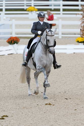 Dressage-at-Devon-9-27-13-4929-EviStrasser-RenaissanceTyme-DDeRosaPhoto