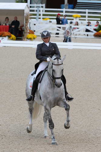 Dressage-at-Devon-9-27-13-4930-EviStrasser-RenaissanceTyme-DDeRosaPhoto