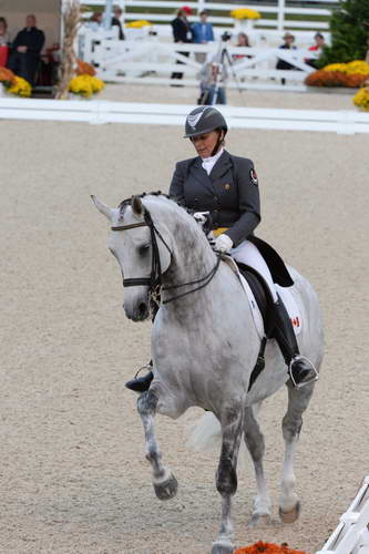 Dressage-at-Devon-9-27-13-4931-EviStrasser-RenaissanceTyme-DDeRosaPhoto