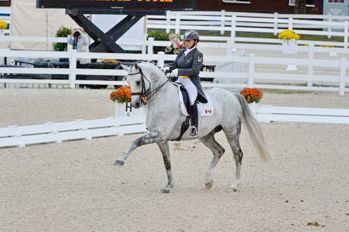 Dressage-at-Devon-9-27-13-4933-EviStrasser-RenaissanceTyme-DDeRosaPhoto