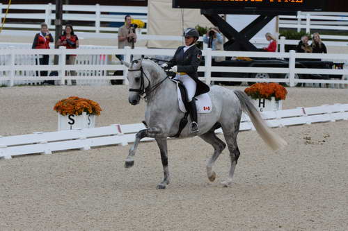 Dressage-at-Devon-9-27-13-4934-EviStrasser-RenaissanceTyme-DDeRosaPhoto