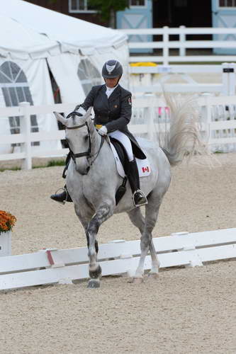 Dressage-at-Devon-9-27-13-4941-EviStrasser-RenaissanceTyme-DDeRosaPhoto