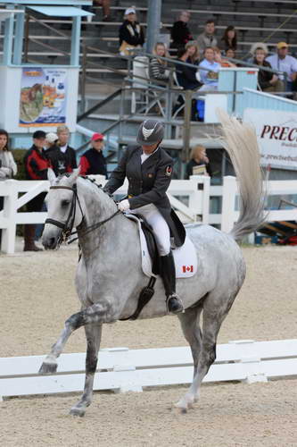 Dressage-at-Devon-9-27-13-4945-EviStrasser-RenaissanceTyme-DDeRosaPhoto