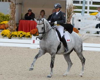 Dressage-at-Devon-9-27-13-4951-EviStrasser-RenaissanceTyme-DDeRosaPhoto