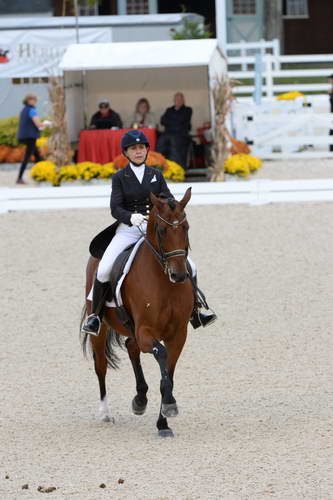 Dressage-at-Devon-9-27-13-4971-JillIrving-Degas12-DDeRosaPhoto