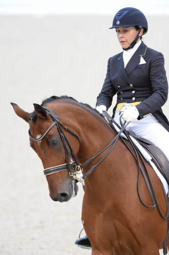 Dressage-at-Devon-9-27-13-4973-JillIrving-Degas12-DDeRosaPhoto