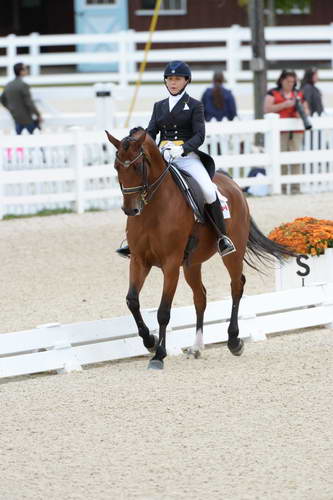 Dressage-at-Devon-9-27-13-4981-JillIrving-Degas12-DDeRosaPhoto