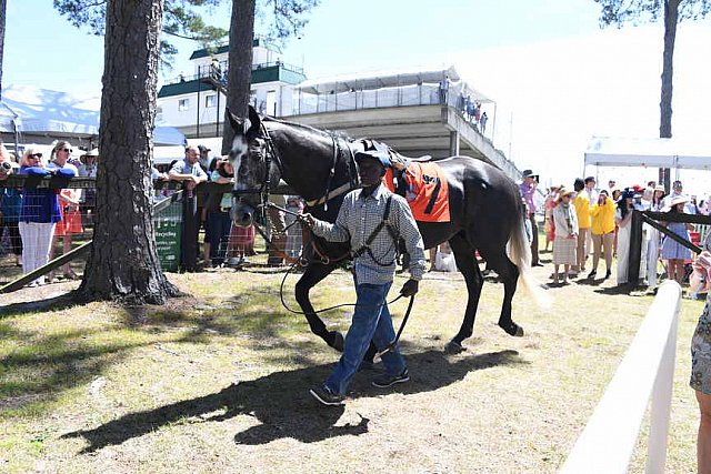 CAROLINA CUP-4-2-22-7164-DDeRosaPhoto