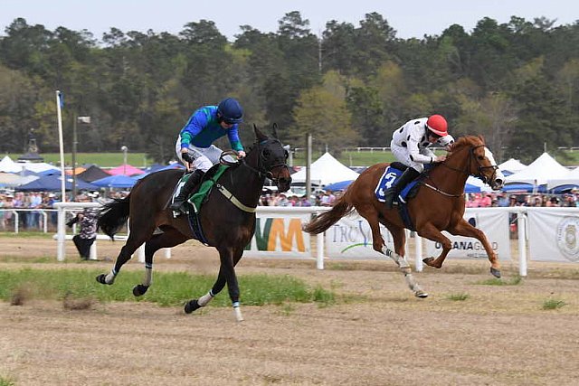 CAROLINA CUP-4-2-22-7785-DDeRosaPhoto