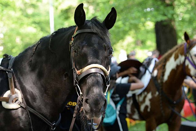 GALLOPNYC-5-22-2022-4211-DDeRosaPhoto