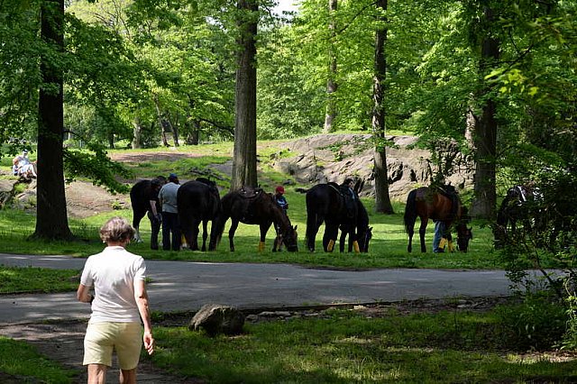 GALLOPNYC-5-22-2022-4288-DDeRosaPhoto