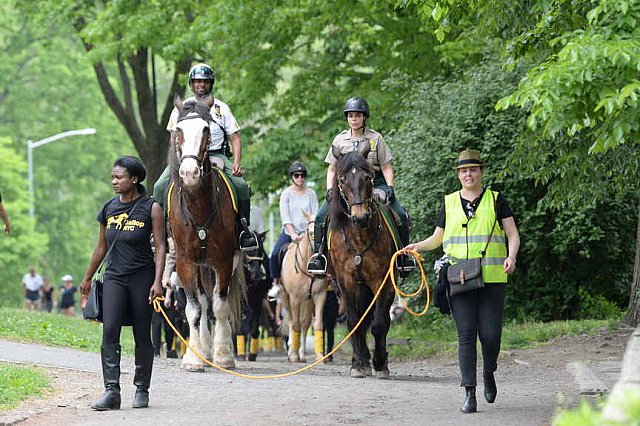 GALLOPNYC-5-22-2022-4311-DDeRosaPhoto