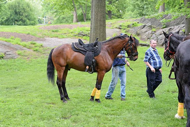 GALLOPNYC-5-22-2022-4393-DDeRosaPhoto